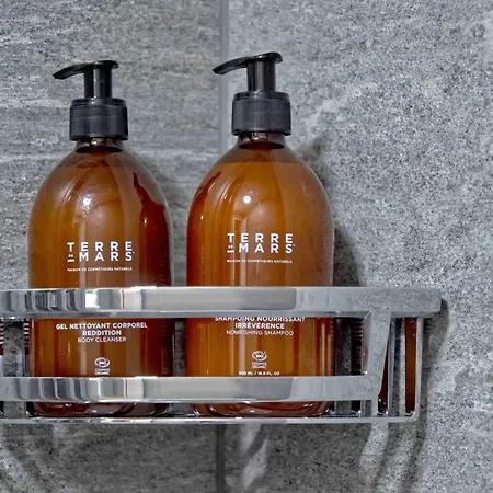 Bank House L 206 - Griwa Rent דירה אינטרלאקן