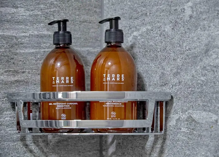 Bank House L 206 - Griwa Rent דירה אינטרלאקן